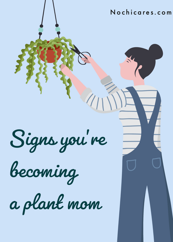 4 signs you're becoming a plant mom