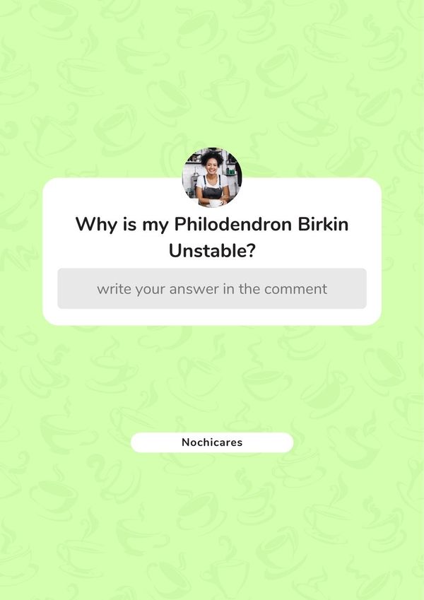 Why is my Philodendron Birkin Unstable?